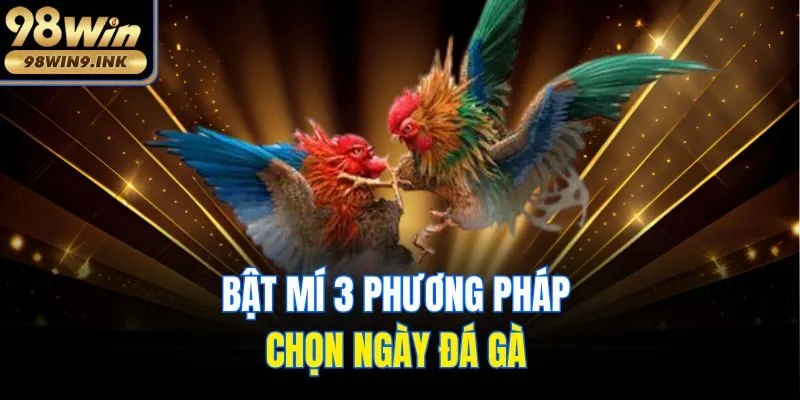 Bật mí 3 phương pháp chọn ngày đá gà