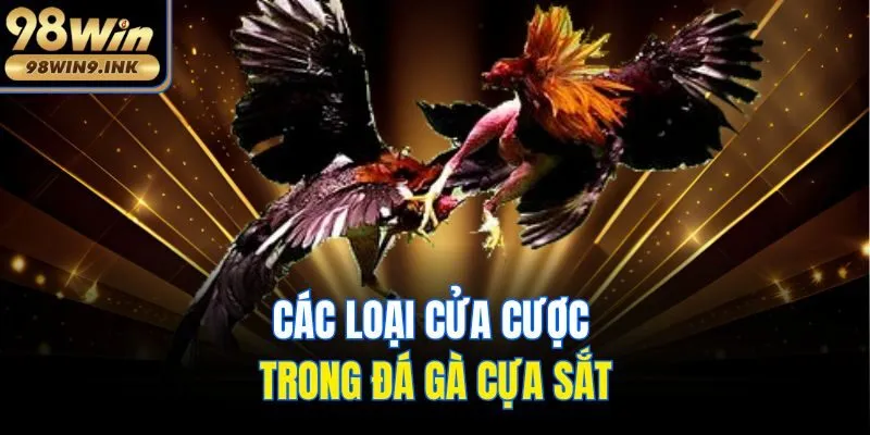 Các loại cửa cược trong đá gà cựa sắt