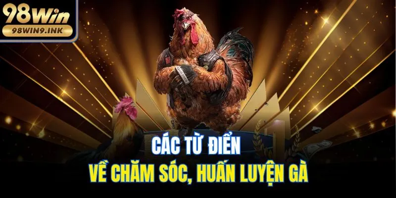 Các từ điển về chăm sóc, huấn luyện gà