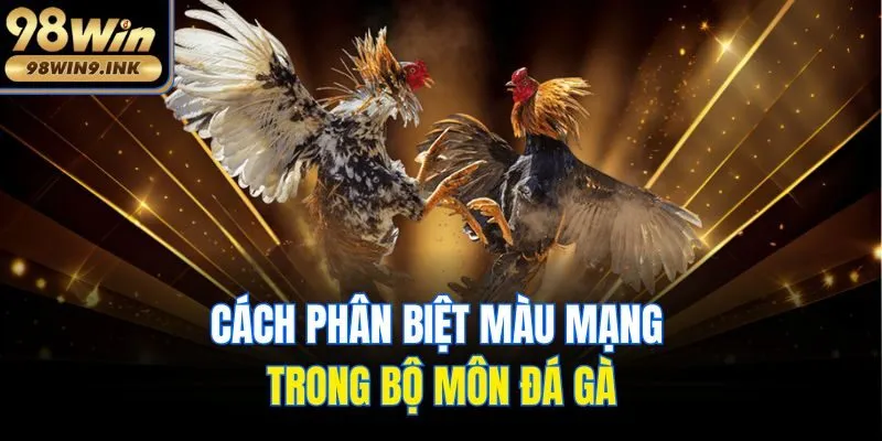 Cách phân biệt màu mạng trong bộ môn đá gà