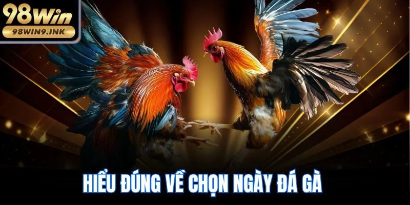 Hiểu đúng về chọn ngày đá gà