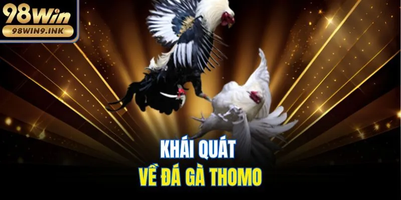 Khái quát về đá gà thomo