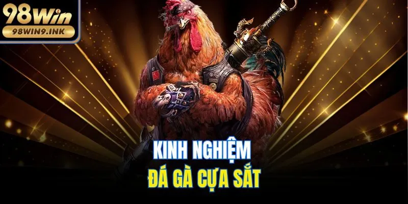 Kinh nghiệm đá gà cựa sắt