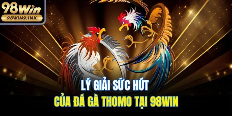 Lý giải sức hút của đá gà thomo tại 98win