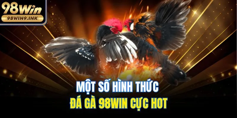 Một số hình thức đá gà 98win cực hot