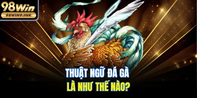 Thuật ngữ đá gà là như thế nào?